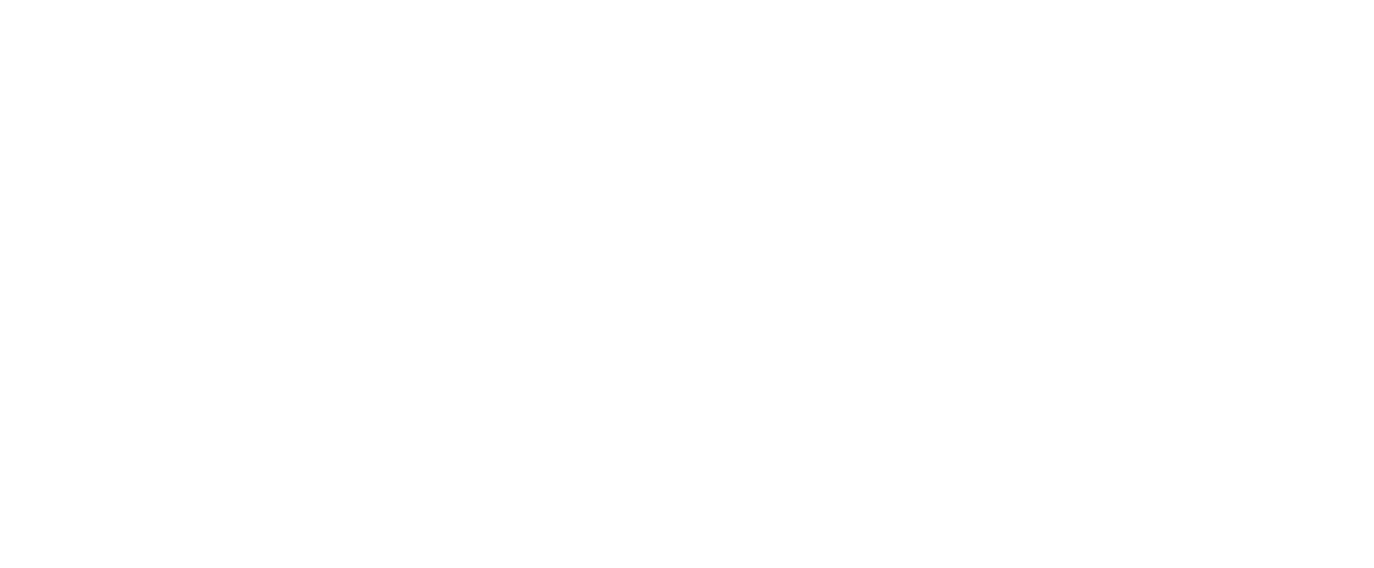 verosoft-main-logo